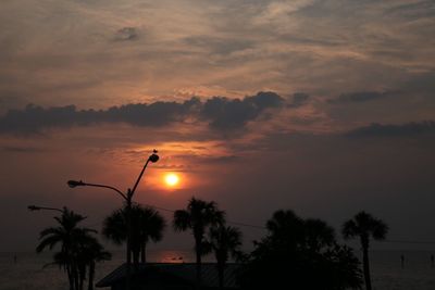 Palm trees at sunset