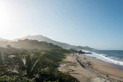 Scenic view of sea against clear sky