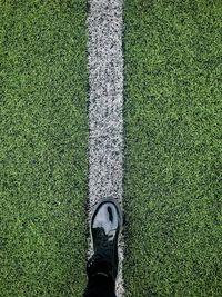 Low section of person standing on grass