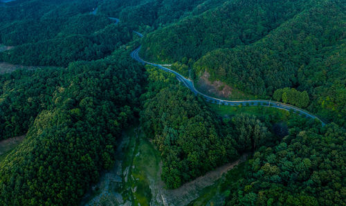 High angle view of road amidst trees in forest