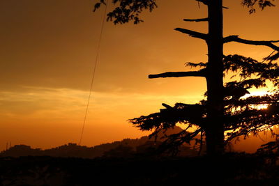 Silhouette trees against sky during sunset