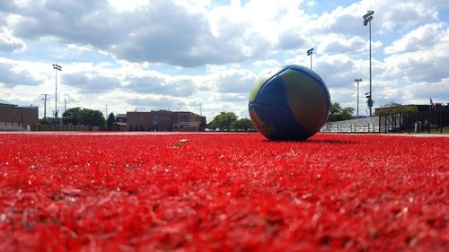 Soccer ball on turf