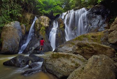 Scenic view of waterfall in forest