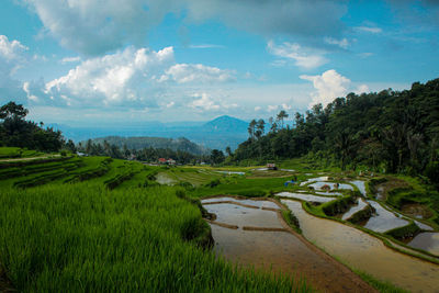 Scenic view of landscape against sky