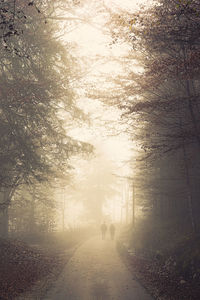 People on road amidst trees during foggy weather