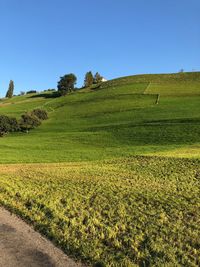 Scenic view of field against clear sky