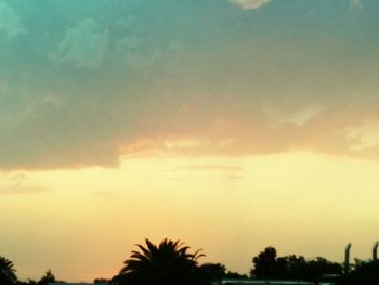 Silhouette of trees against cloudy sky