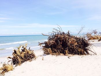 Scenic view of beach against sky