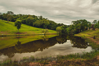 Scenic view of lake by trees on field against sky