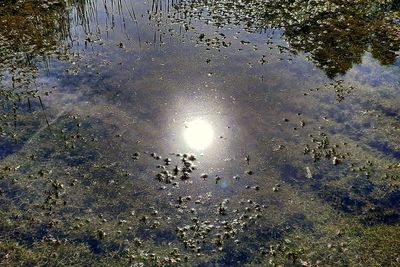 Reflection of clouds in water