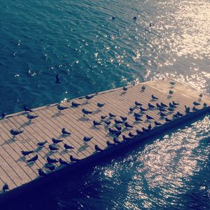 High angle view of beach