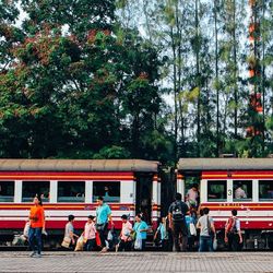 Friends standing on tree stump
