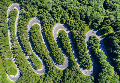 High angle view of plants by road against trees