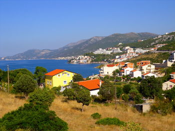 Houses by trees against blue sky