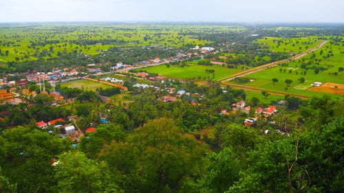 High angle view of trees and buildings in city