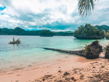 Scenic view of beach against sky