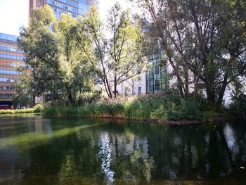 Reflection of trees and buildings in lake