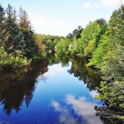 Scenic view of river in forest against sky