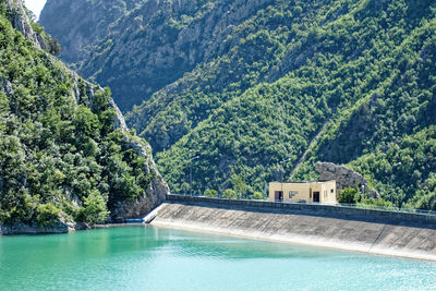 Scenic view of swimming pool in forest