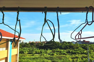 Close-up of hanging tree against sky