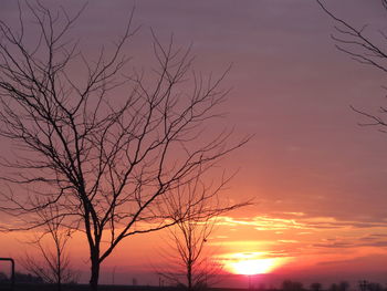 Low angle view of silhouette bare tree against romantic sky