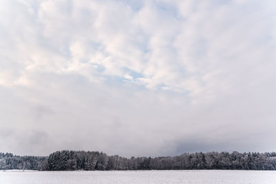 Trees on field against sky during winter