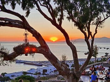 Tree by sea against sky during sunset