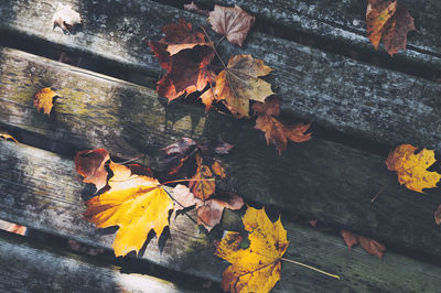 Freshly fallen autumn leaves on outdoor wooden table.