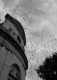 Low angle view of birds flying against sky