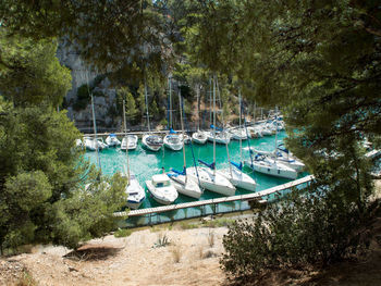 Boats moored in sea against trees