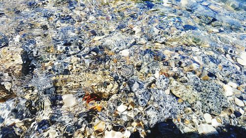 High angle view of crab on beach