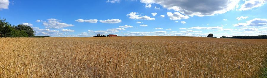 Scenic view of field against sky