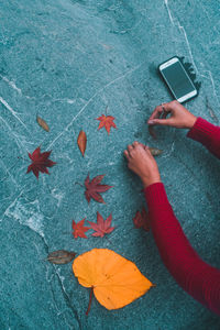 High angle view of person holding maple leaves during autumn
