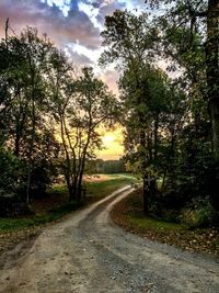 Road amidst trees against sky