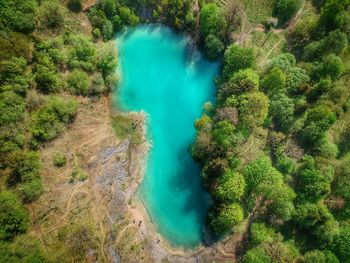 High angle view of trees on landscape