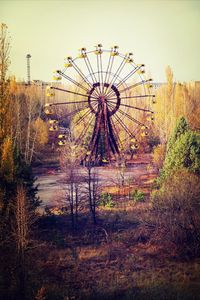 Carousel in the dark