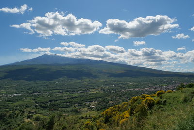 environment