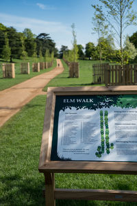 Close-up of bench in park