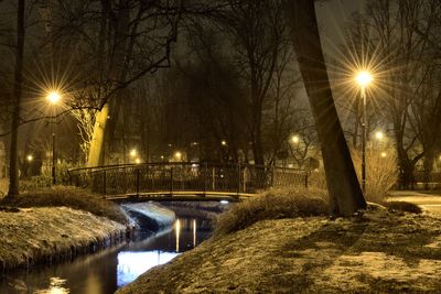 Illuminated street light by bare trees during winter at night