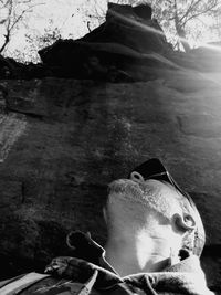 Close-up of bird on rock