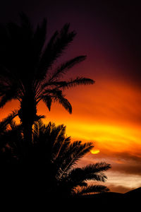 Silhouette palm trees against romantic sky at sunset