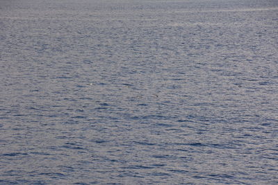 Full frame shot of rippled water