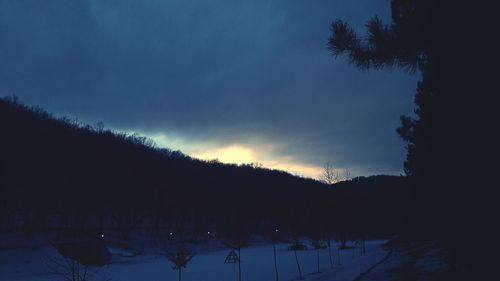 Silhouette trees on snowy landscape against sky at night