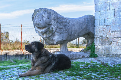 Dog by statue against sky