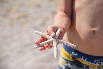 Midsection of shirtless boy holding dead starfish at beach