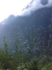 Scenic view of mountains