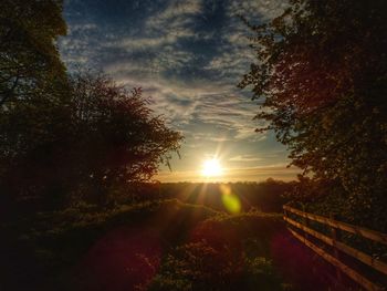 Sunlight streaming through trees on landscape against sky at sunset