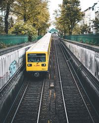 Train on railroad tracks by trees