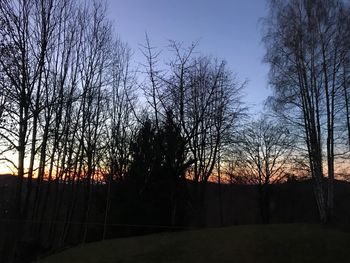 Silhouette trees against sky during sunset