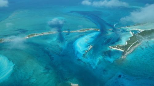 Aerial view of turtle swimming in sea